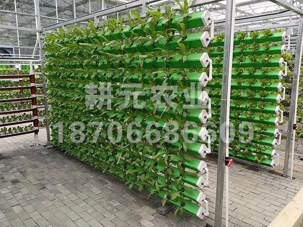 無土栽培廠家產品具有哪些意義？